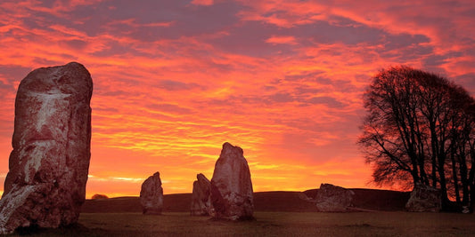 Soaking Up the Sun: Celebrating the Summer Solstice!