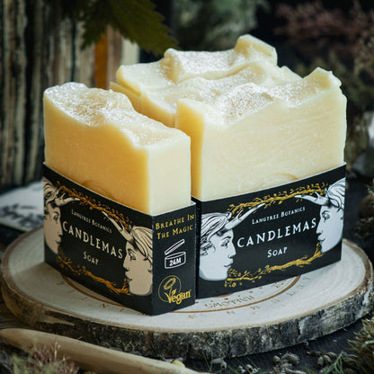 Langtree Botanics natural Candlemas fragranced soap bars surrounded by seasonal foliage celebrating Imbolc