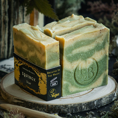 Langtree Botanics autumn collection of four Equinox Soap Bars on a decorative log slice surrounded by seasonal foliage